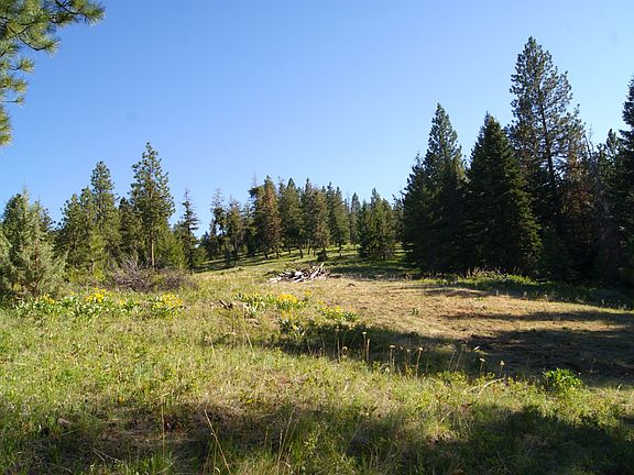 4th image of 55308 Paul Creek Ln Lot Wp001