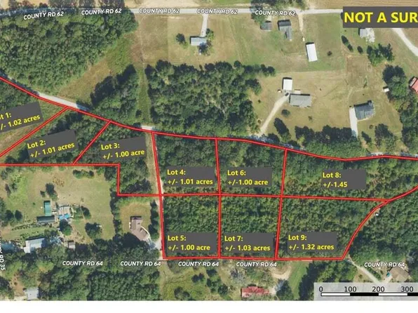 5 County Road 64, Dennis, MS 38838