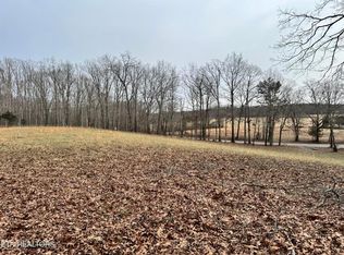 41 Smith Mountain Rd, Rockwood, TN 37854