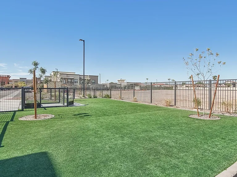 Springs at Stadium Village — Photo 44