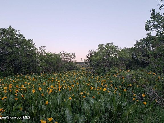 5th image of 280 Eagle Loop Lot 768