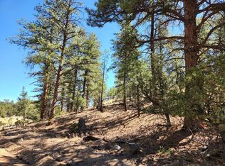 190 Mac Donnell Loop, Cotopaxi, CO 81223