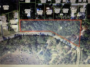 6675 W Chablis Ln, Homosassa, FL 34446