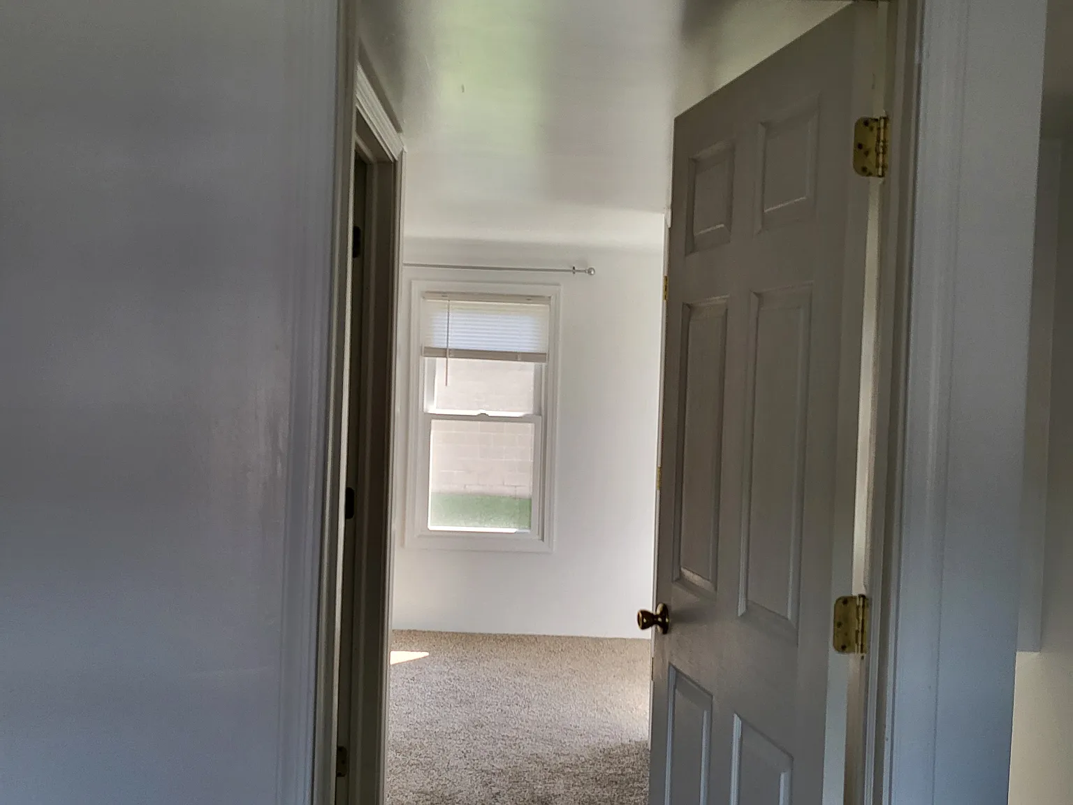1 bed, 1200 sqft, $700 — Photo 4