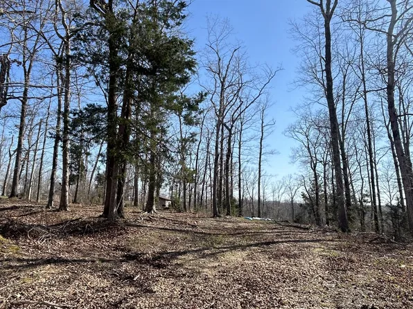 97 Cardinal Hollow Rd, Linden, TN 37096