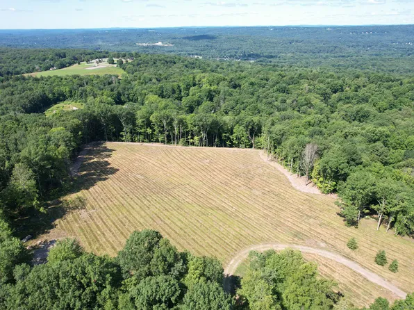 49 Terrell Road, Woodbury, CT 06798