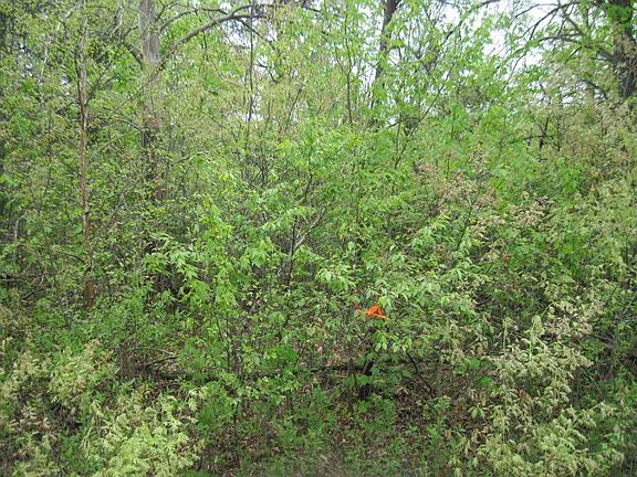 4th image of L8 Beaver Ln