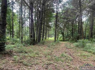 X Fm #3042, Pittsburg, TX 75686