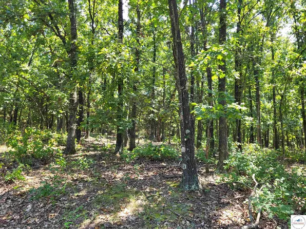 Trinchera Rd, Edwards, MO 65326