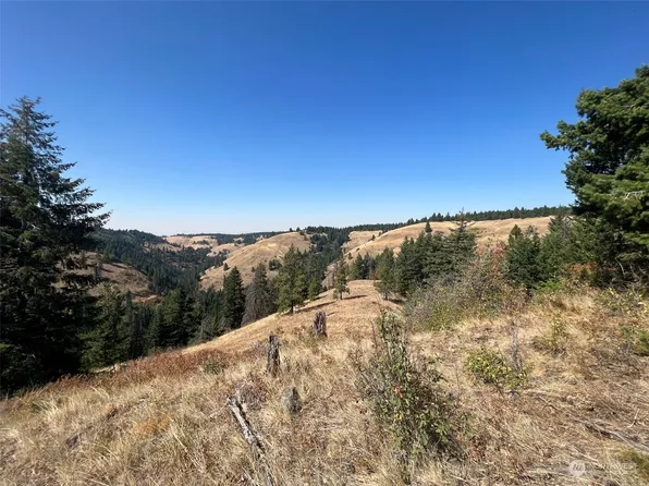 0 South Fork Coppei Road, Waitsburg, WA 99361