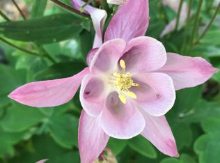 3048 Kenrick St, Keego Harbor, MI 48320