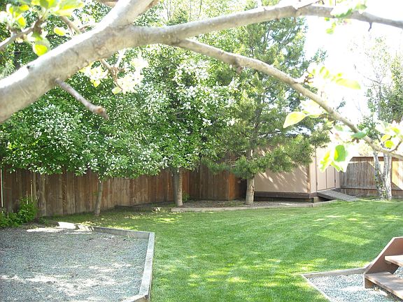 back yard 2