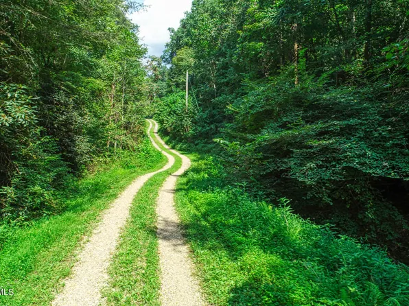 Middle Fork Way, Del Rio, TN 37727