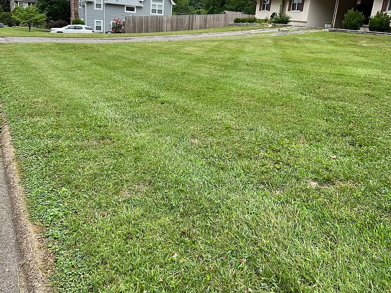 This unit is located on a corner and has a tree view behind it.