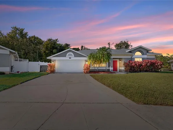 11406 Palm Pasture Dr, Tampa, FL 33635