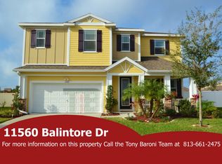 11560 Balintore Dr, Riverview, FL 33579