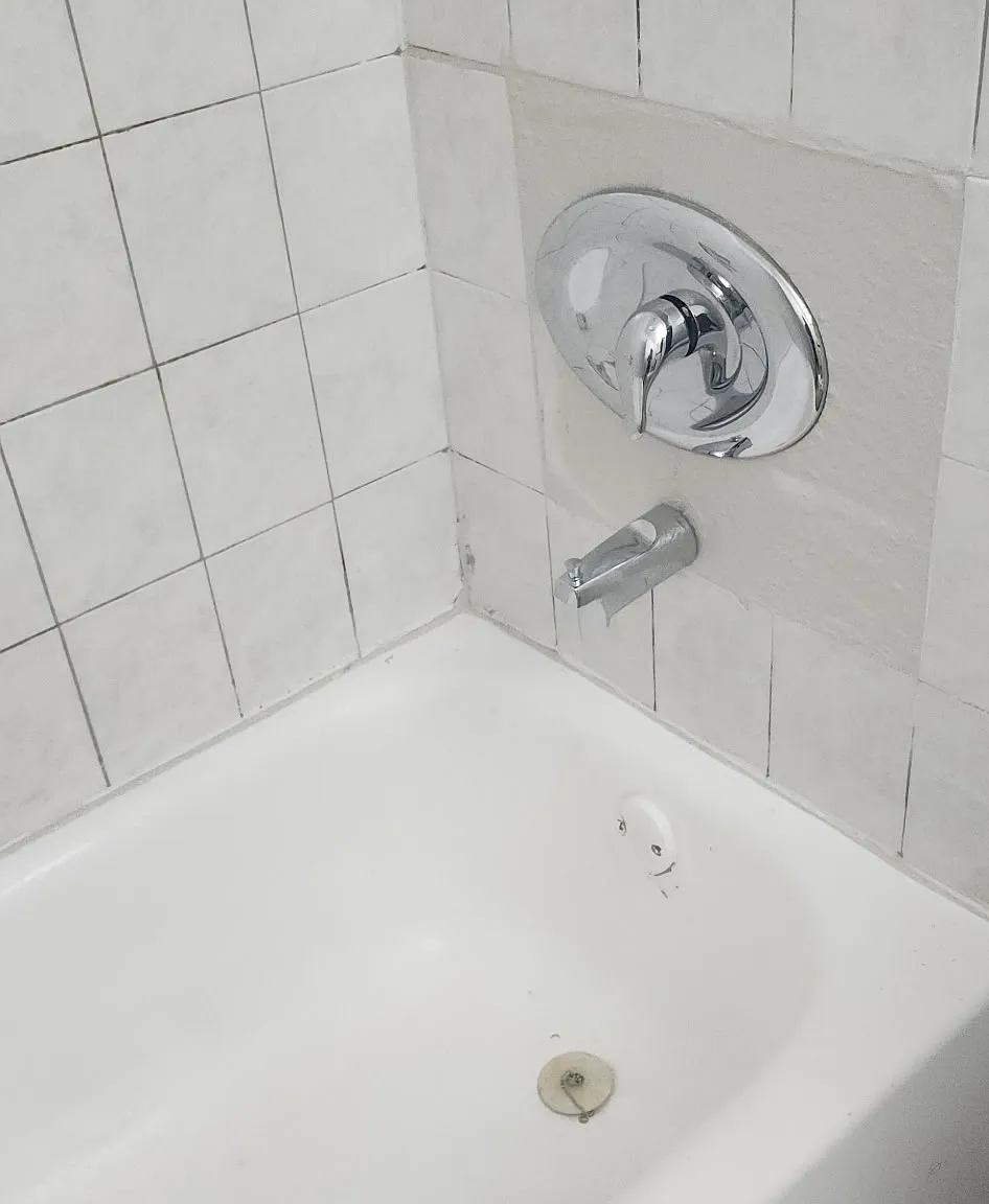 1 bed, 750 sqft, $1,500 — Photo 2