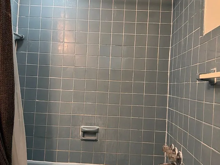 The St. Regis — Photo 15