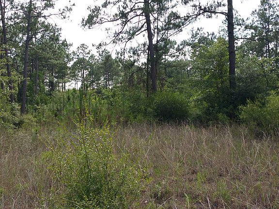 2nd image of 7917 Highway 2301