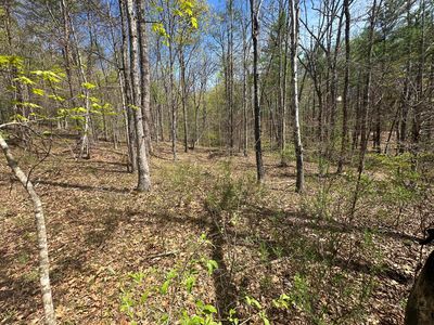Stonehenge Pkwy, Lewisburg, WV, 24901