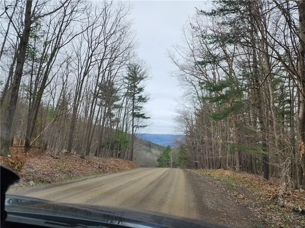 6220 Feenaughty Hill Rd #39, Canisteo, NY 14823