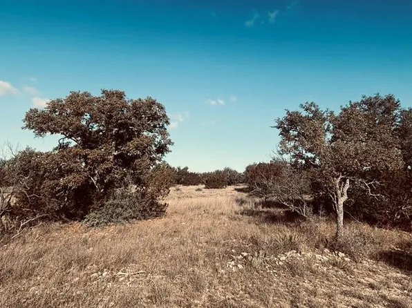 320 Turkey Run Rd #28, Eldorado, TX 76936