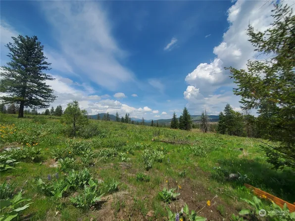 0 TBD Landers Road, Malott, WA 98829