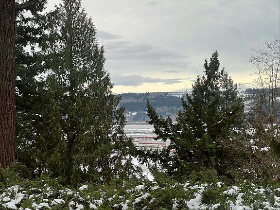 Back yard - upper deck and surrounded by greens.