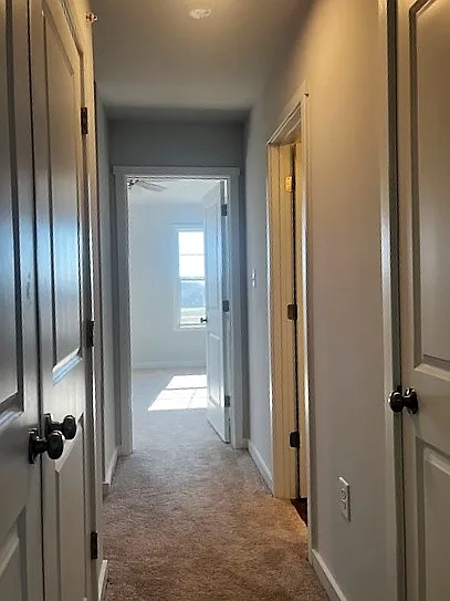148 Olga Dr — Photo 31