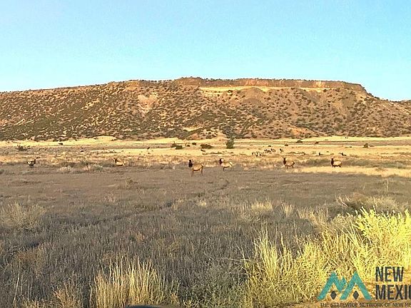 4th image of N 104 Orona Rd