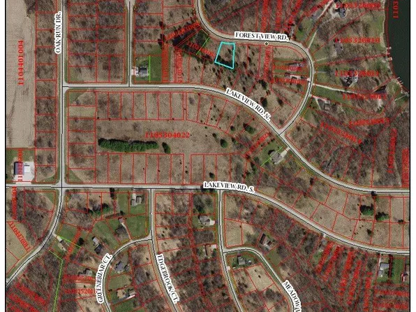 31 Forest View Rd, Dahinda, IL 61428