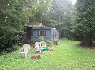 384 Skyline Dr, Port Allegany, PA 16743