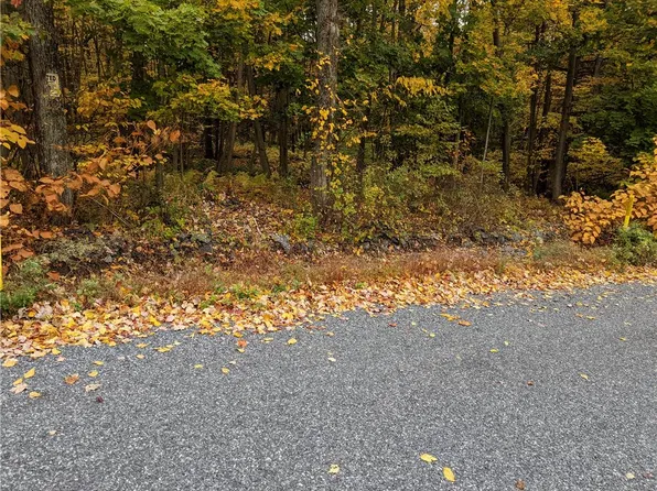 246 Towamensing Trl, Albrightsville, PA 18210