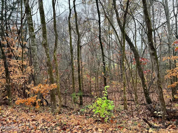5 Butler Rd, Decatur, TN 37322