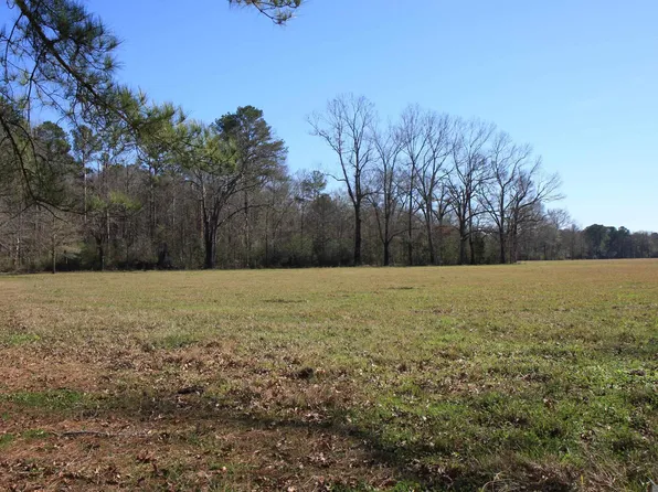 1 Highway 958, Slaughter, LA 70777