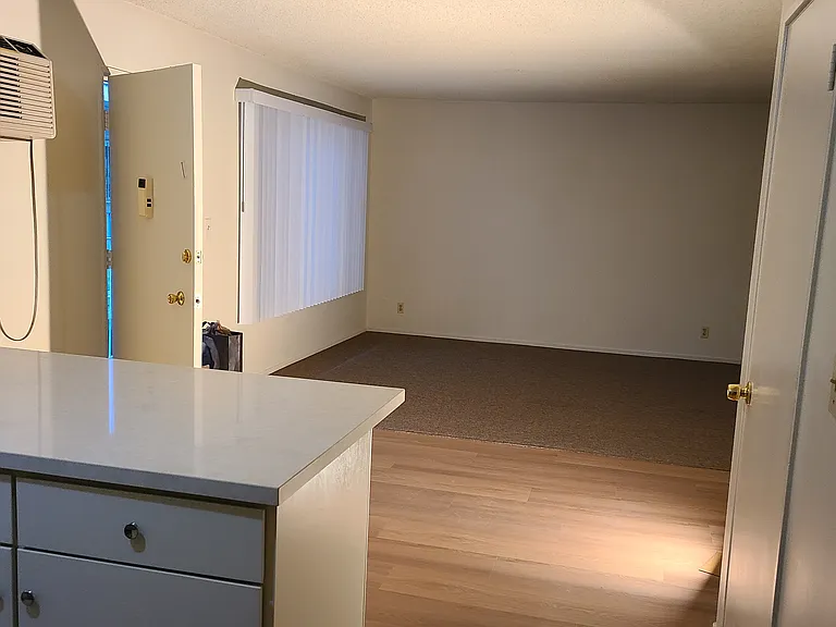 440 Solano Ave #2 — Photo 9