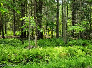 L40 Loch Muller Rd, Schroon Lake, NY 12870