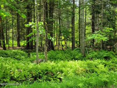 L40 Loch Muller Road, Schroon Lake, NY, 12870