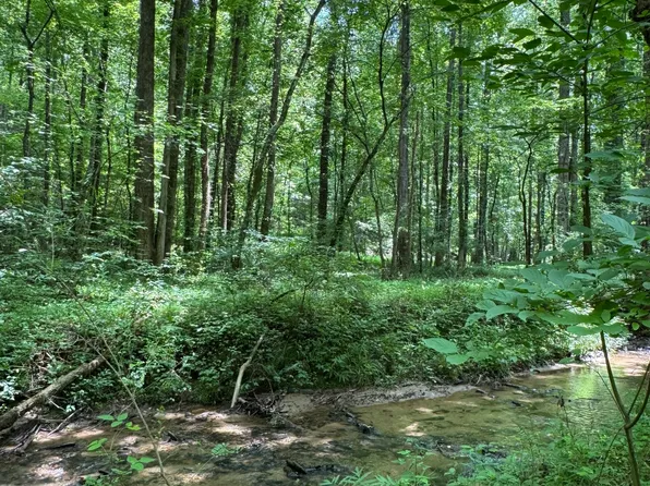 0 Long Branch Rd, Ranger, GA 30734