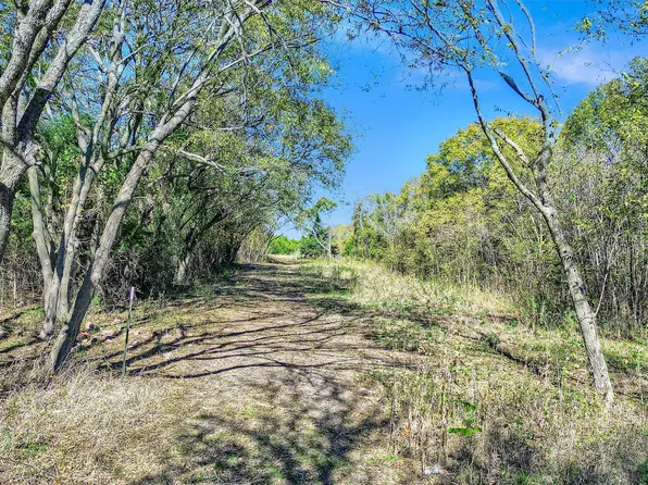 County Road 4620, Trenton, TX 75490