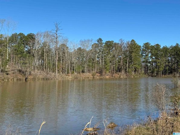 1080 County Road 46 #1, Montevallo, AL 35115