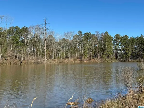 1080 County Road 46 #1, Montevallo, AL 35115