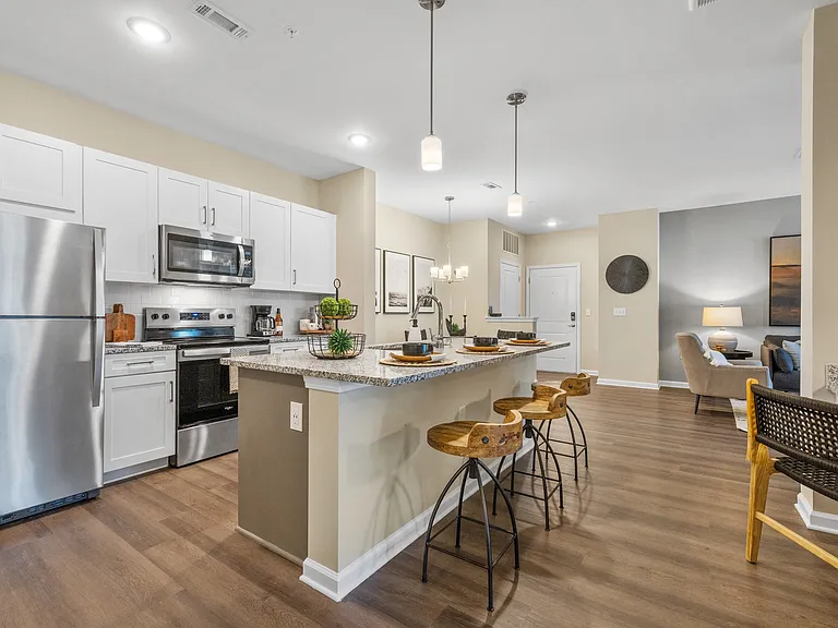 Langley Pointe Apartments | Stainless Steel Appliances