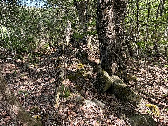 5th image of 550 Petit Road