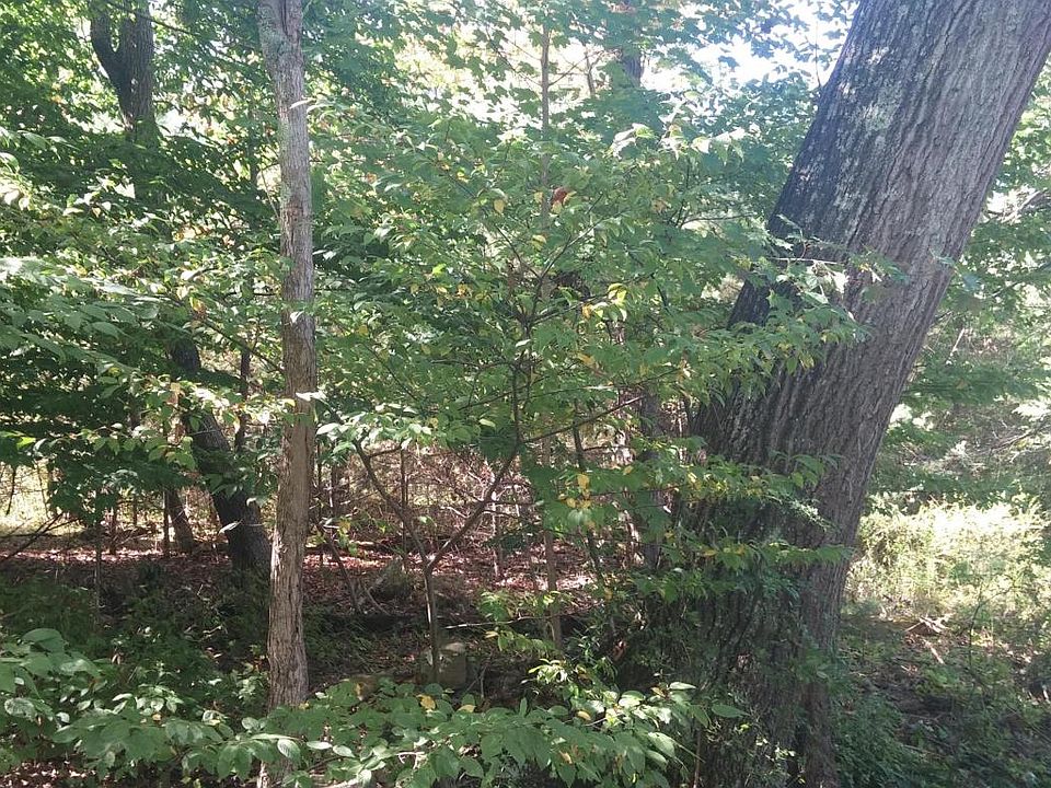 2nd image of 699 Lower Georges Valley Rd