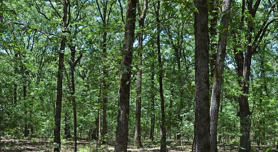 2nd image of 0 Pecan Bend Rd
