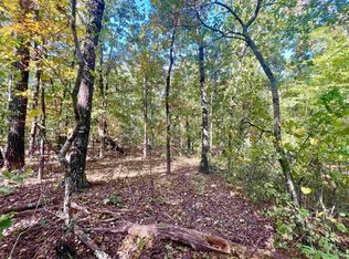 0 Raccoon Ln, Mountain View, AR 72560