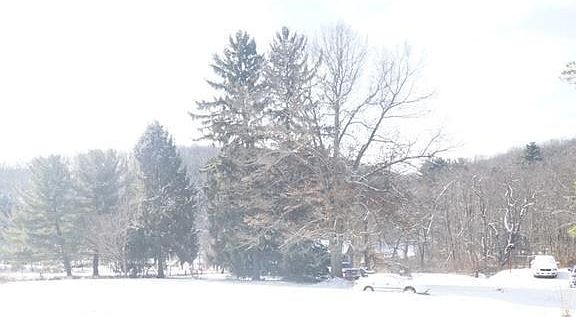2nd image of 1386 Three Degree Rd