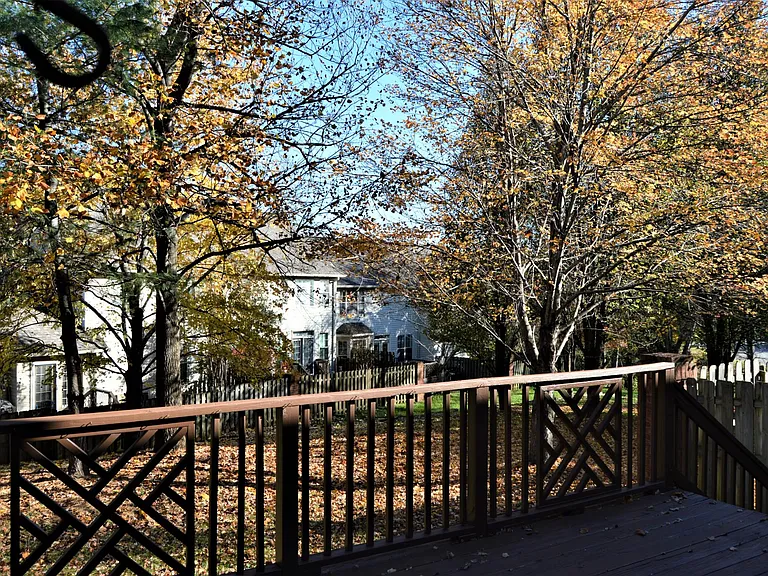 Backyard treeview