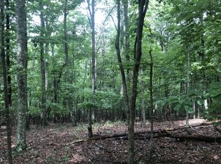 7 Eagle Top Ln, Morganton, GA 30560